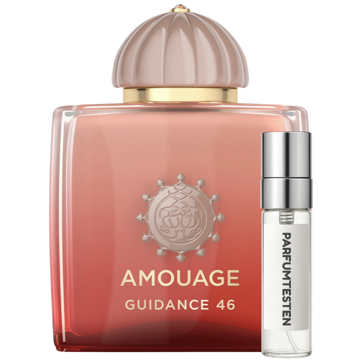 Guidance 46 Probe