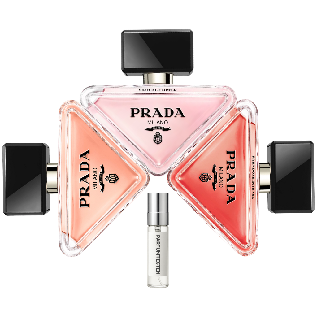 Paradoxe Proben Bundle