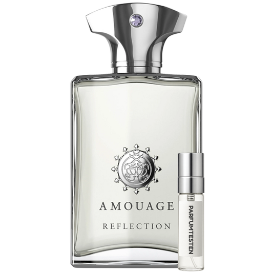 Reflection Man Probe